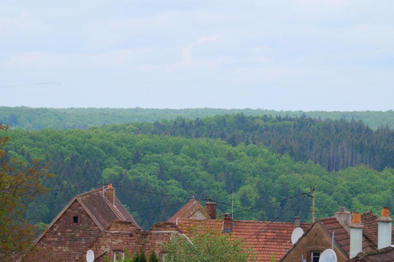 Apartament Le Pommier - Appt Avec Jardin Partage Puberg Zewnętrze zdjęcie