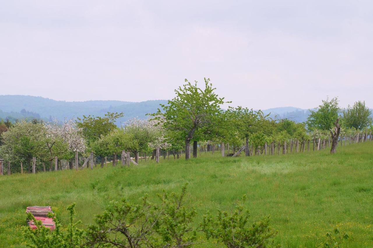 Apartament Le Pommier - Appt Avec Jardin Partage Puberg Zewnętrze zdjęcie
